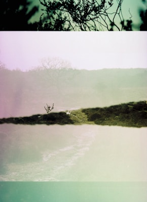 A misty landscape with an artistic, layered appearance. Silhouettes of tree branches are visible in the foreground, while a faint outline of trees and foliage can be seen in the background. The color scheme includes various shades of green and pink, adding a surreal quality to the scene. The composition is abstract, with a dreamy and ethereal atmosphere.