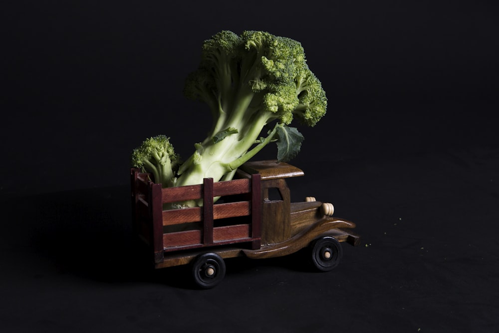 Ein Spielzeuglastwagen mit Brokkoli hinten