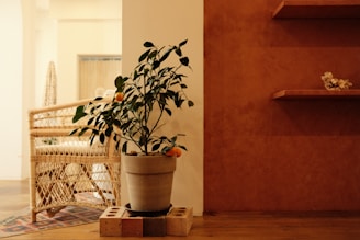 a potted plant sitting on top of a wooden block