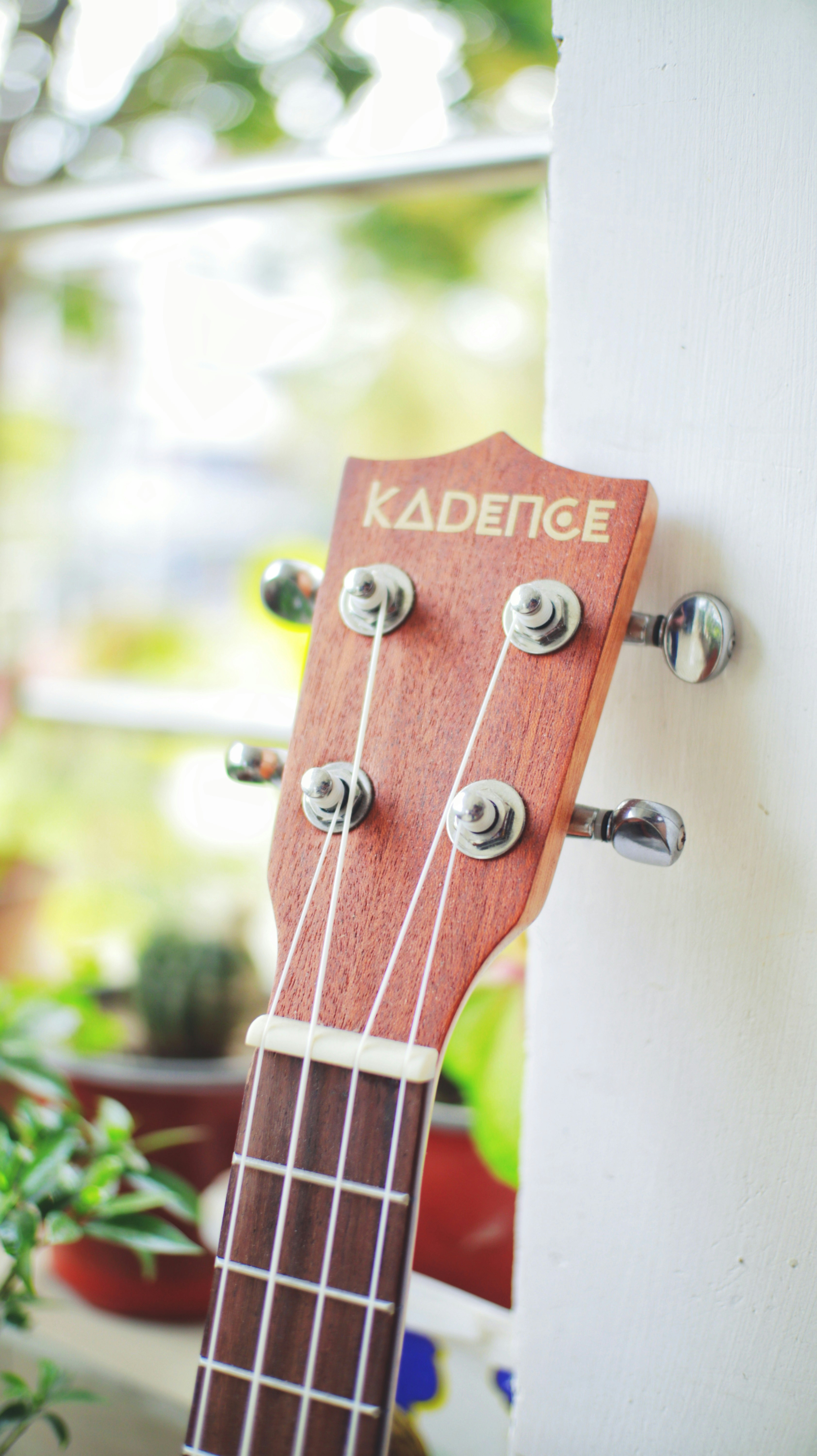 a close up of a ukulele on a wall