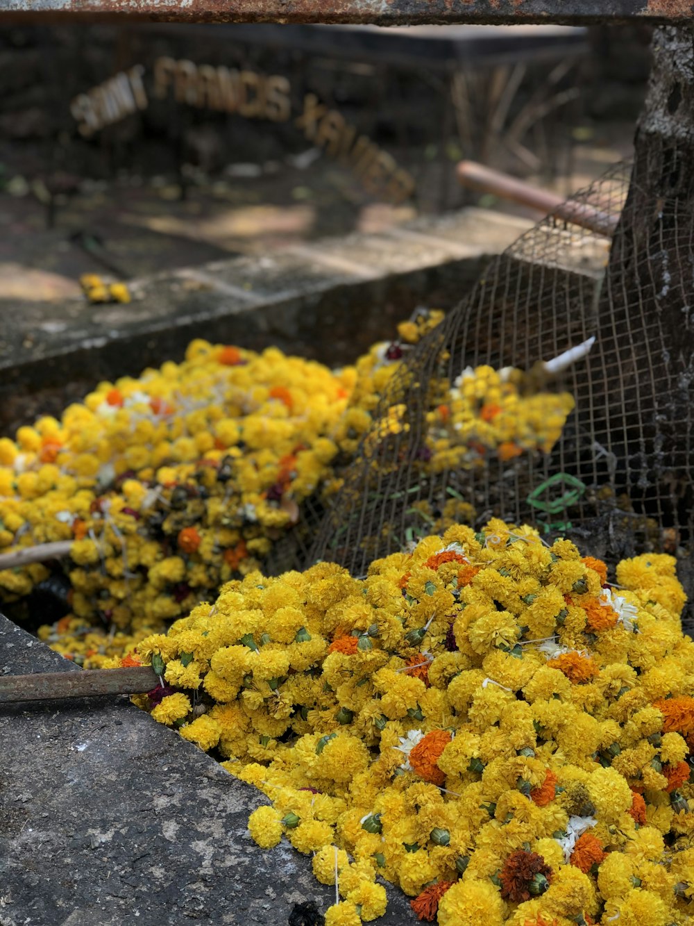 a pile of yellow flowers sitting on top of a cement slab