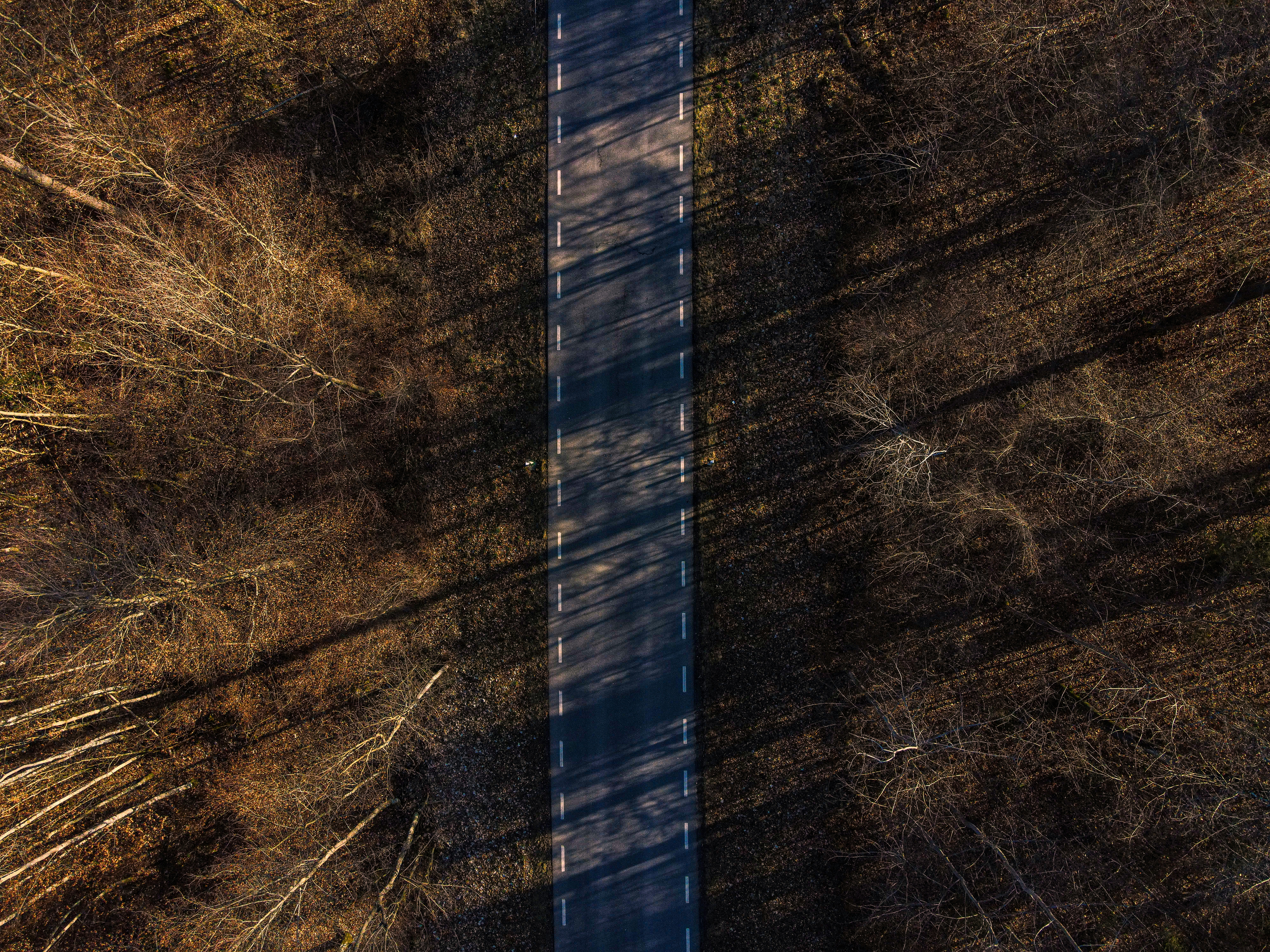 Photo by patrickschreiber