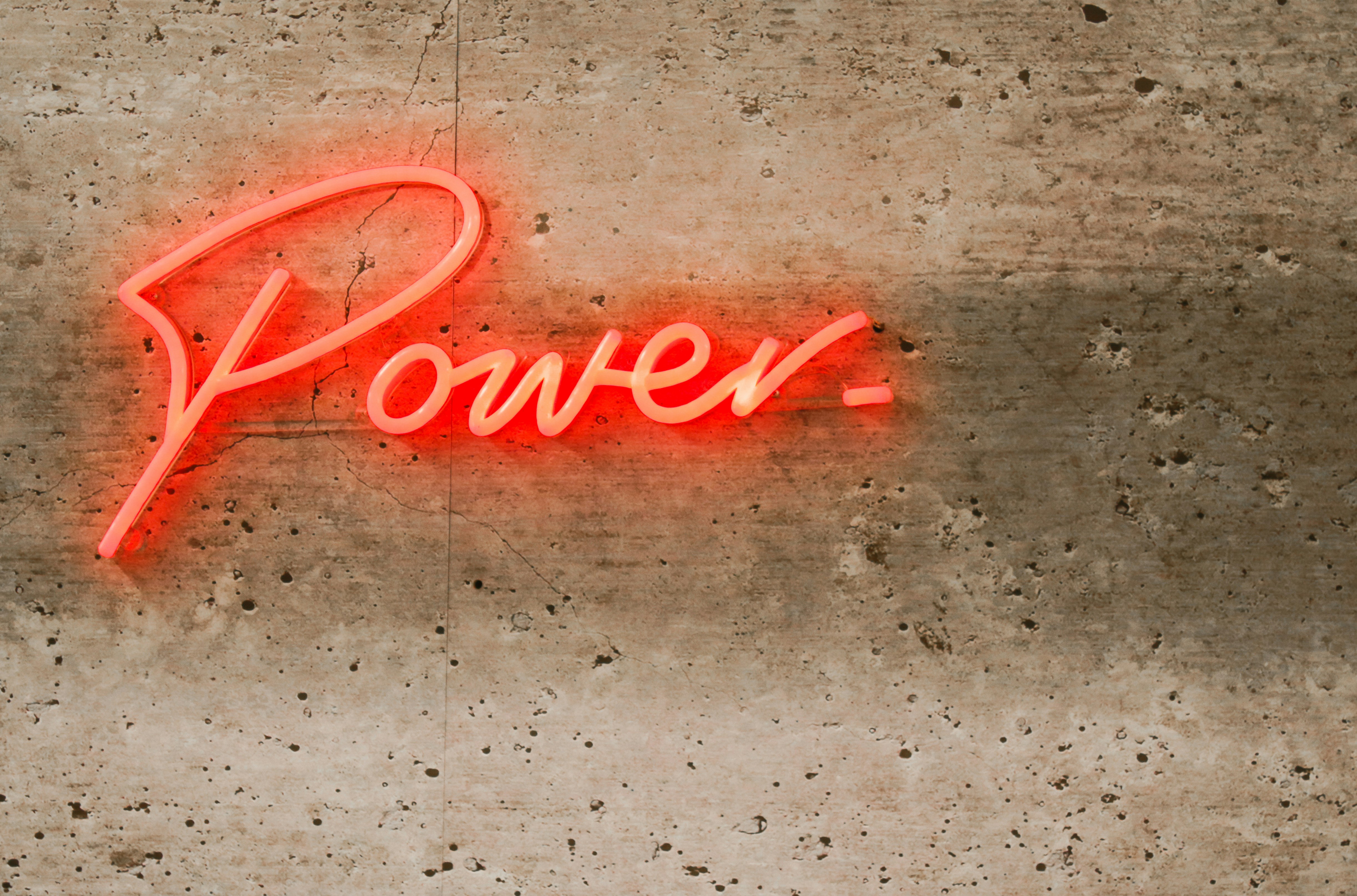 로버트 달의 “권력"