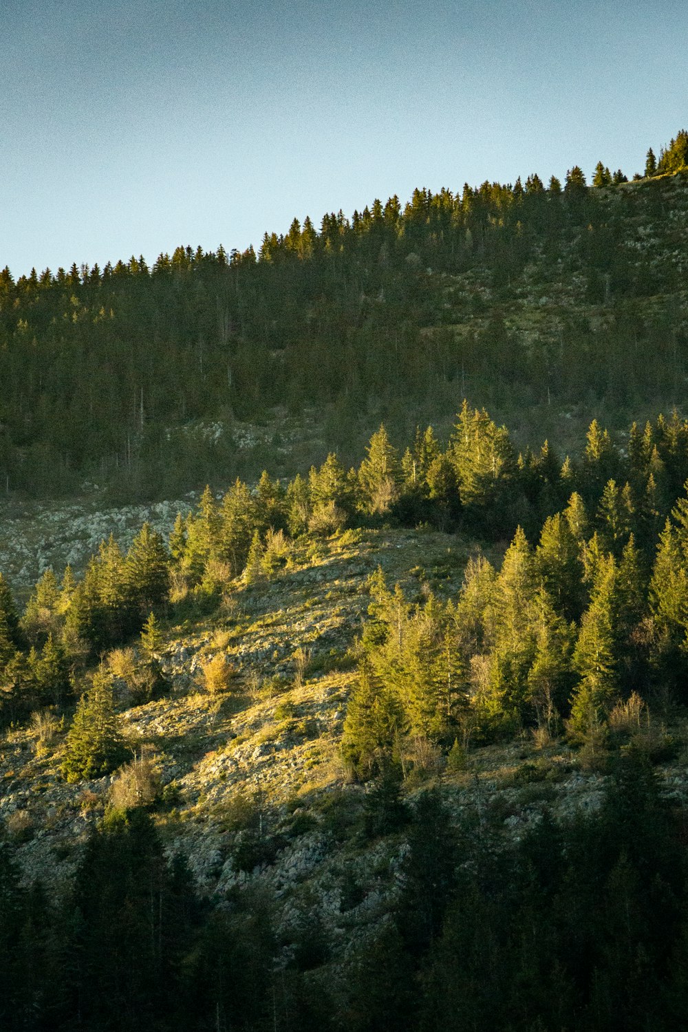 a mountain with trees on the side of it