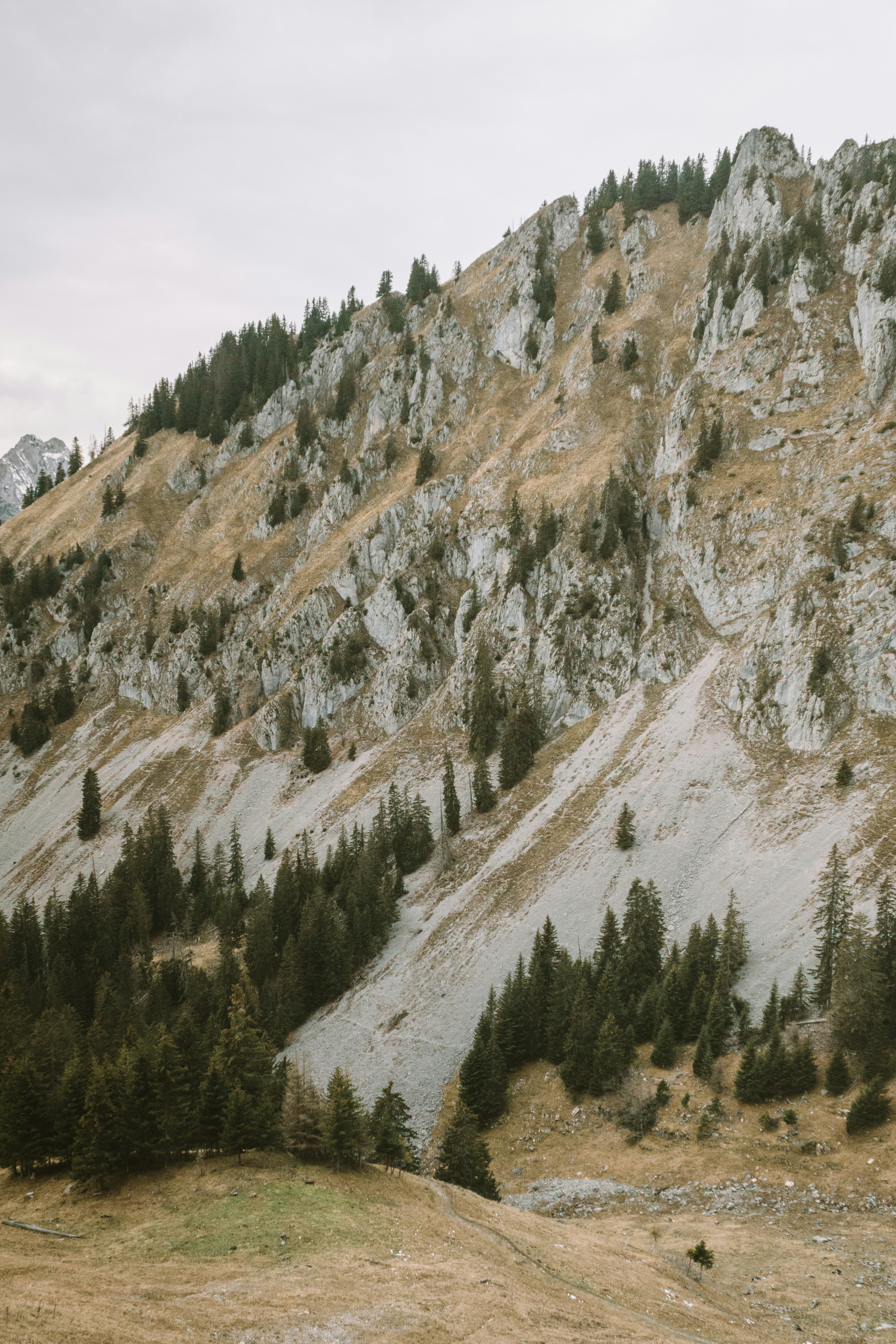 Photo by yannickvanhoutven