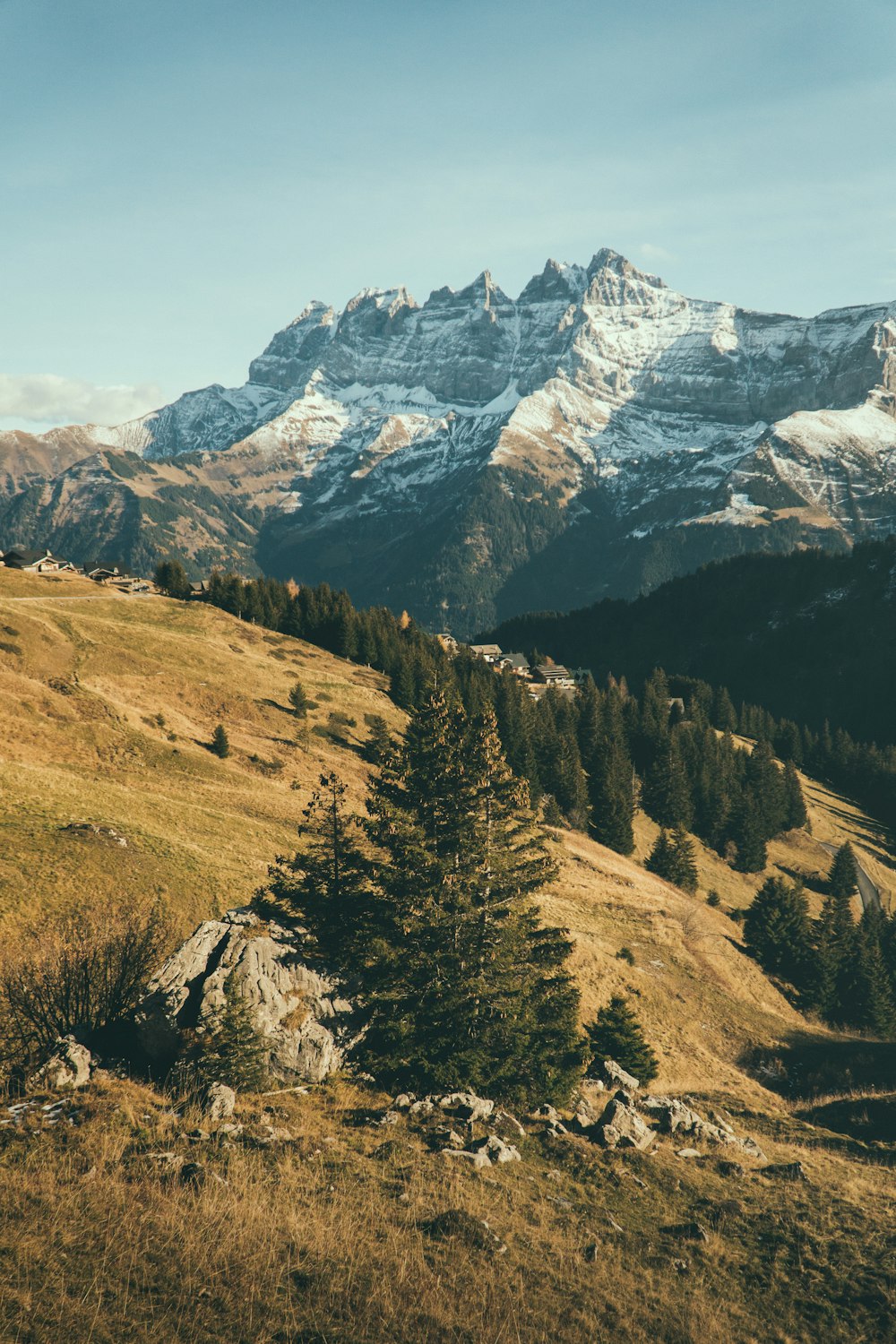 a grassy field with a mountain in the background