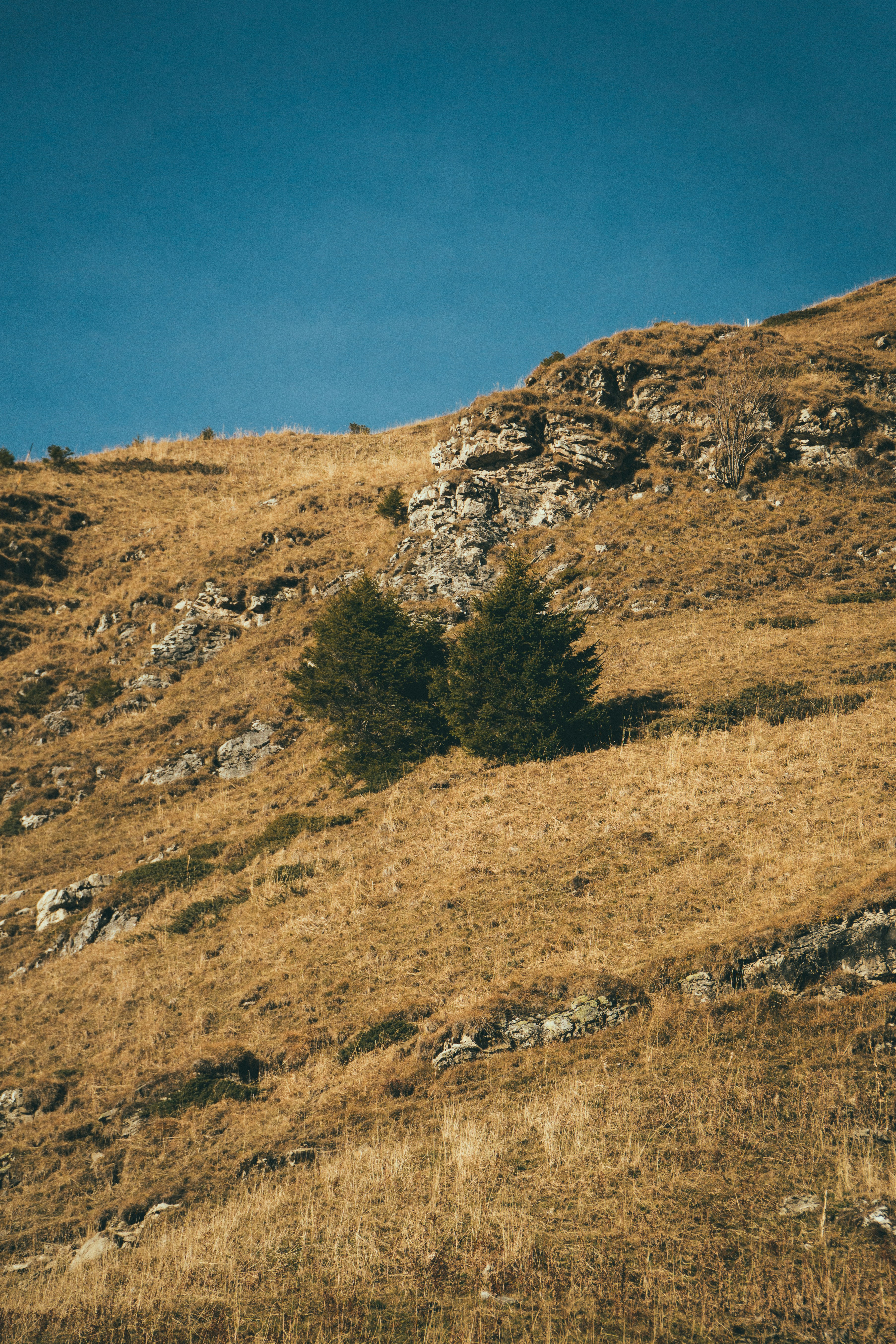 Photo by yannickvanhoutven