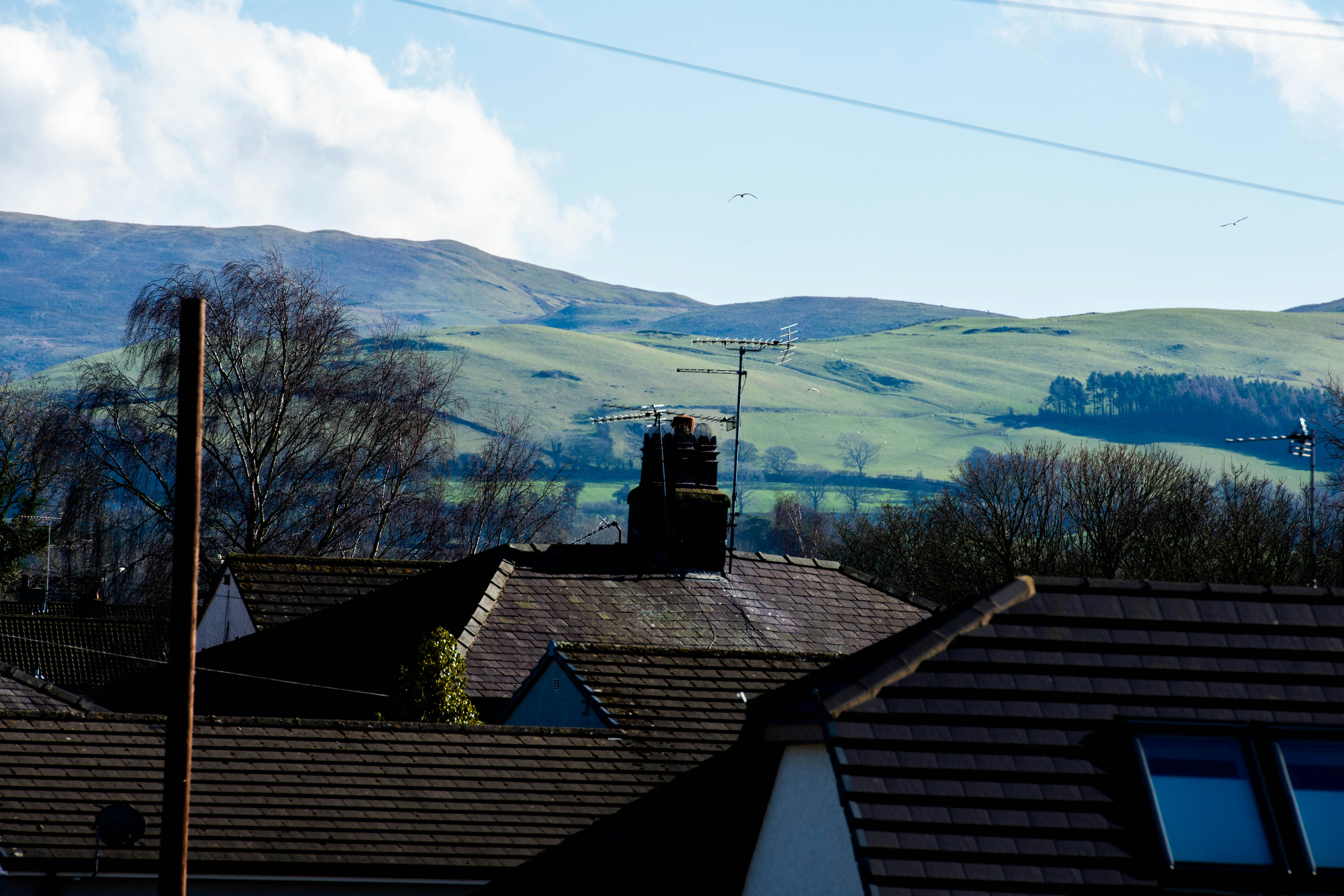 Photo by maplerockdesign