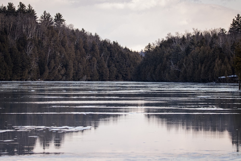 a large body of water surrounded by trees