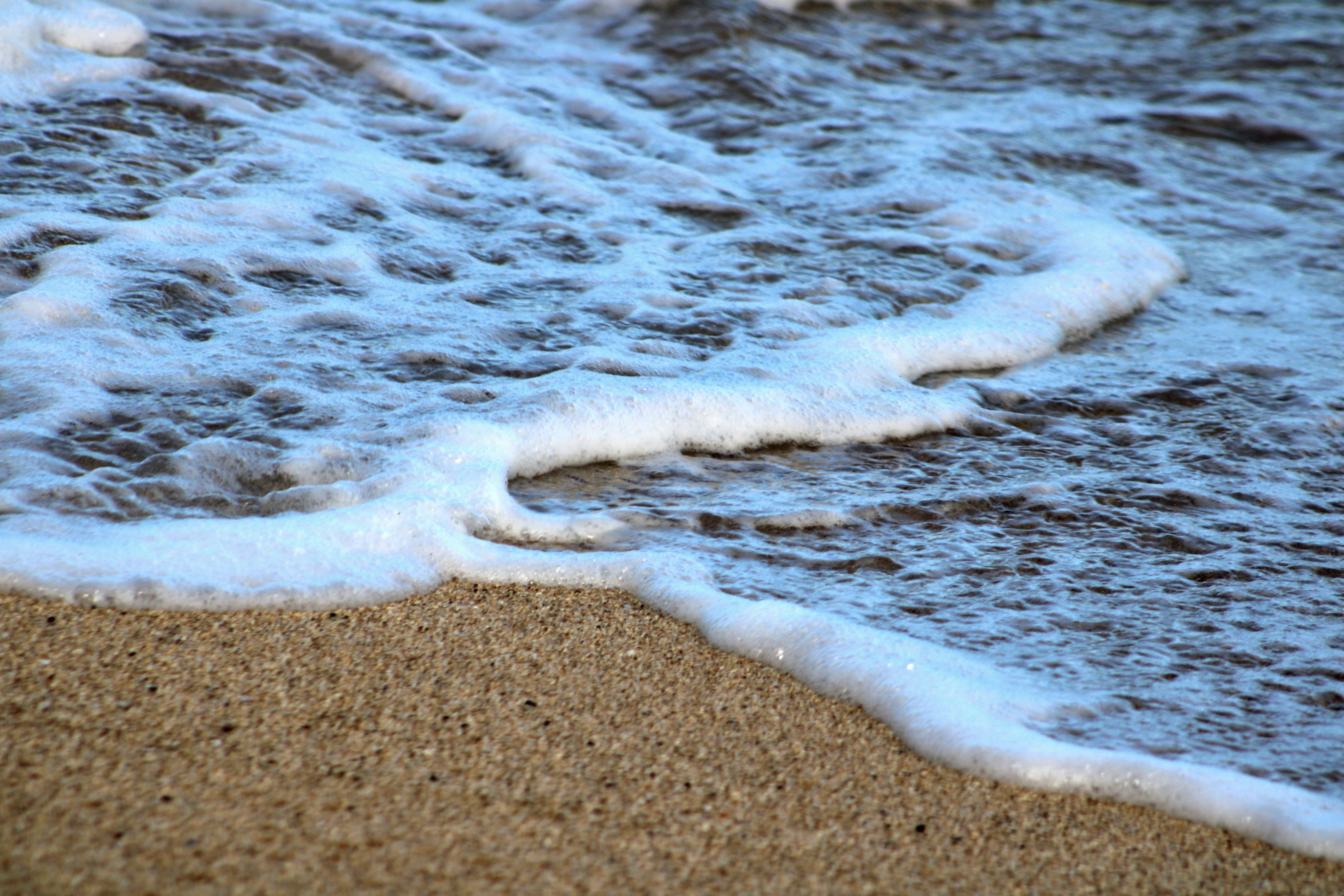 Photo by curriedflute