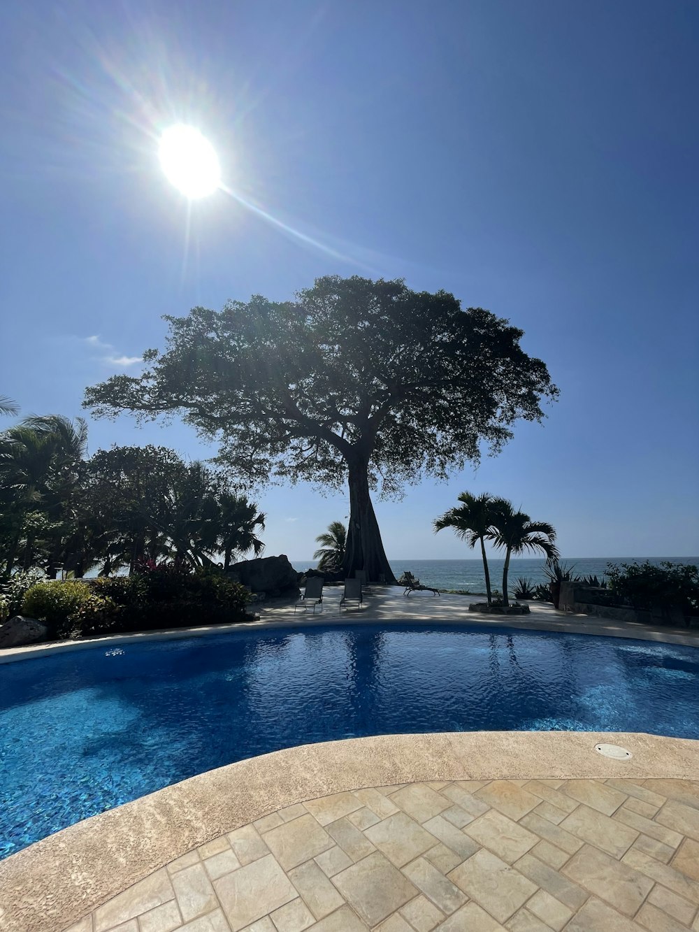 a pool with a tree in the middle of it