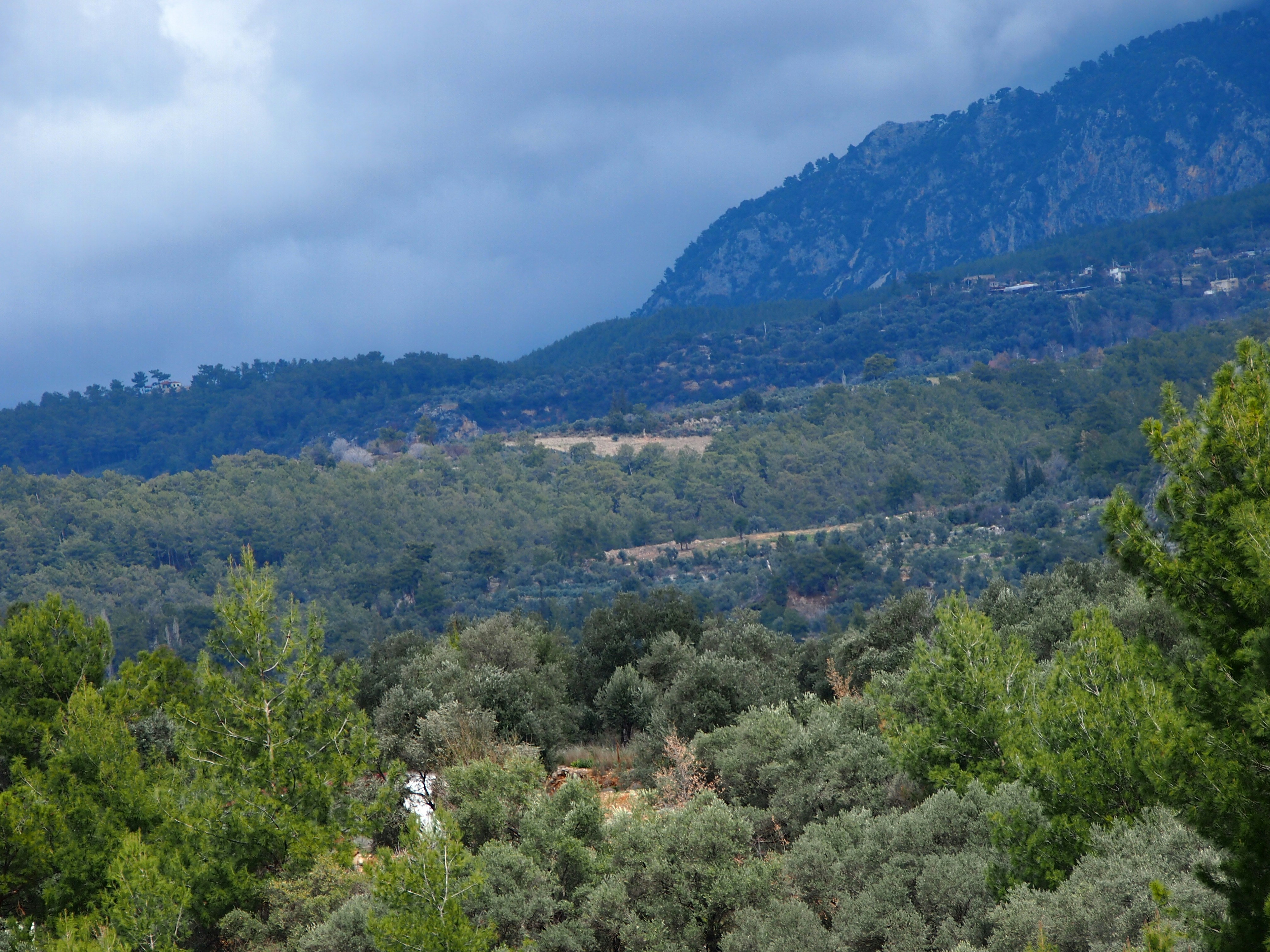 Photo by denchovilla