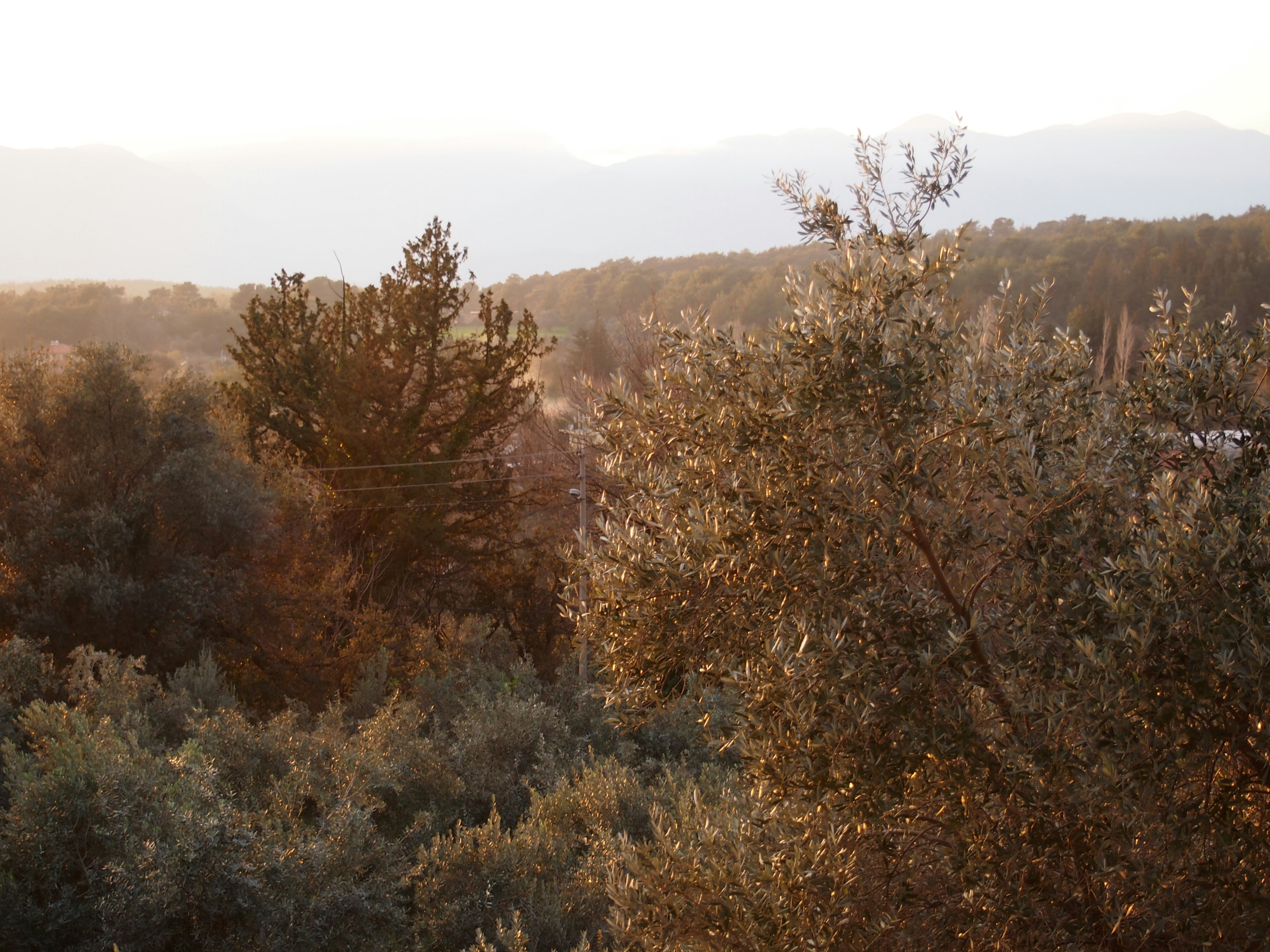 Photo by denchovilla