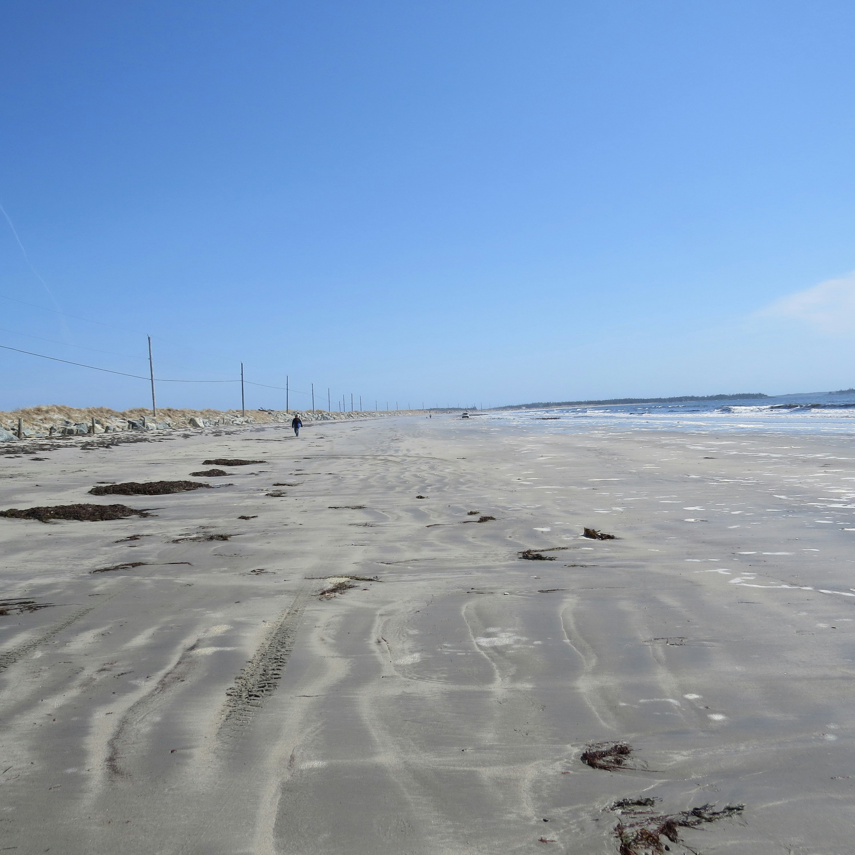 a person walking along a sandy beach next to the ocean