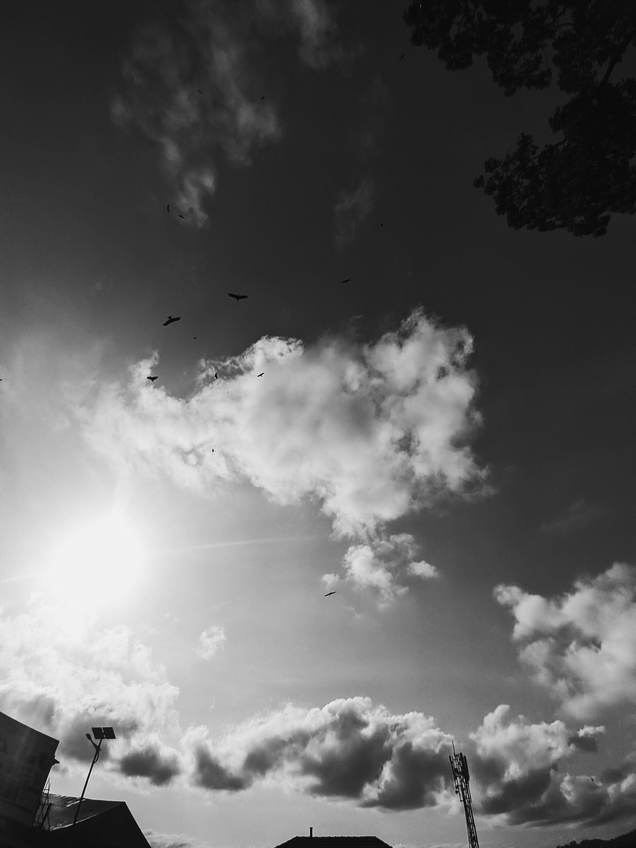 Photo by princebeguin