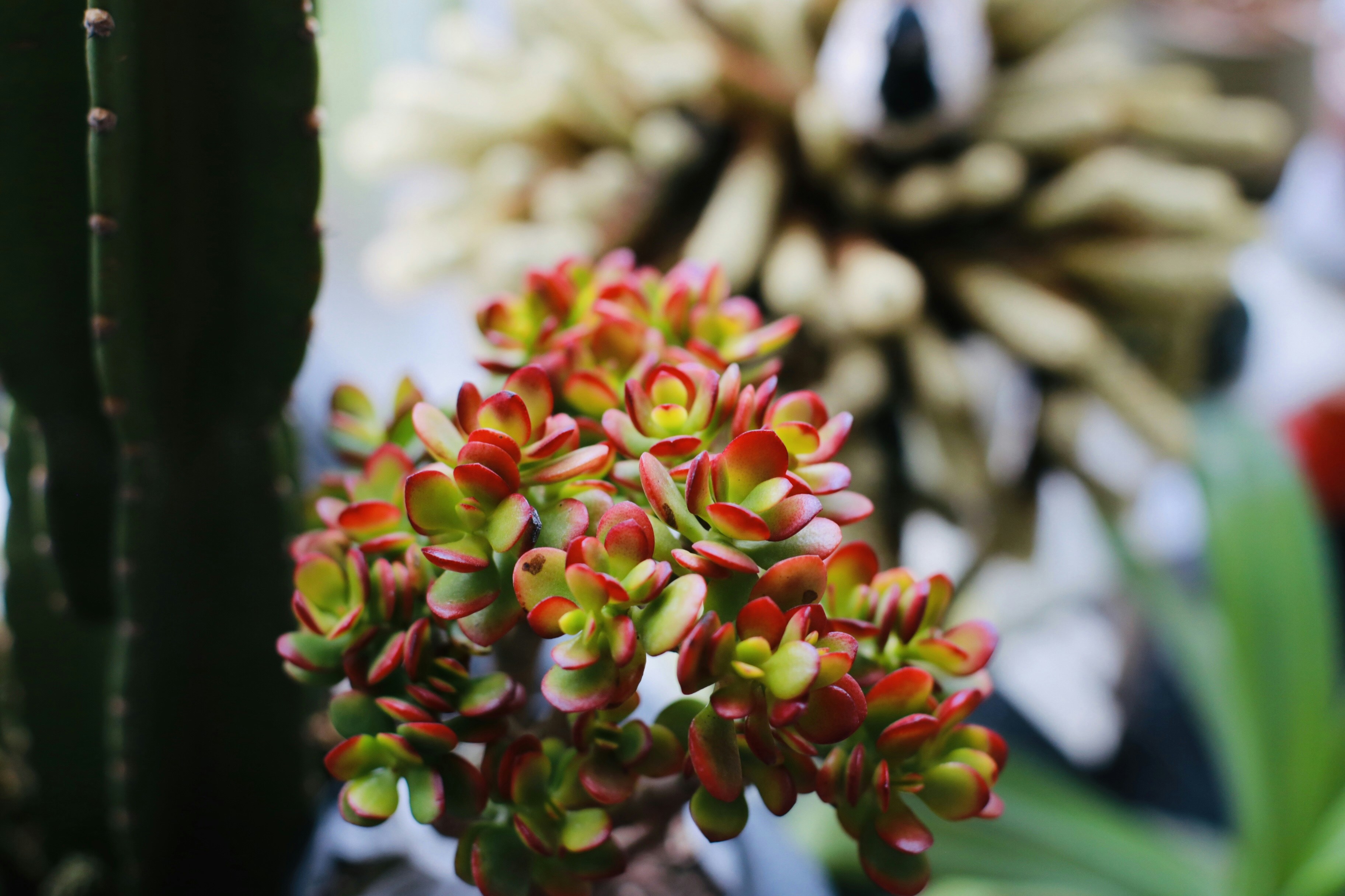 Photo by dickenslin76