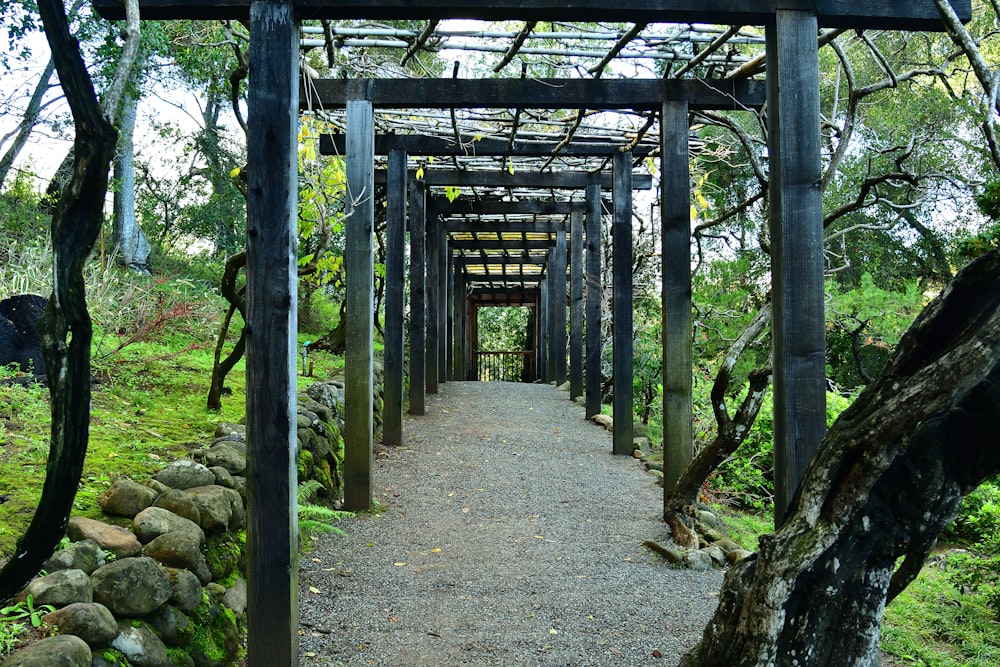 a wooden structure in the middle of a forest