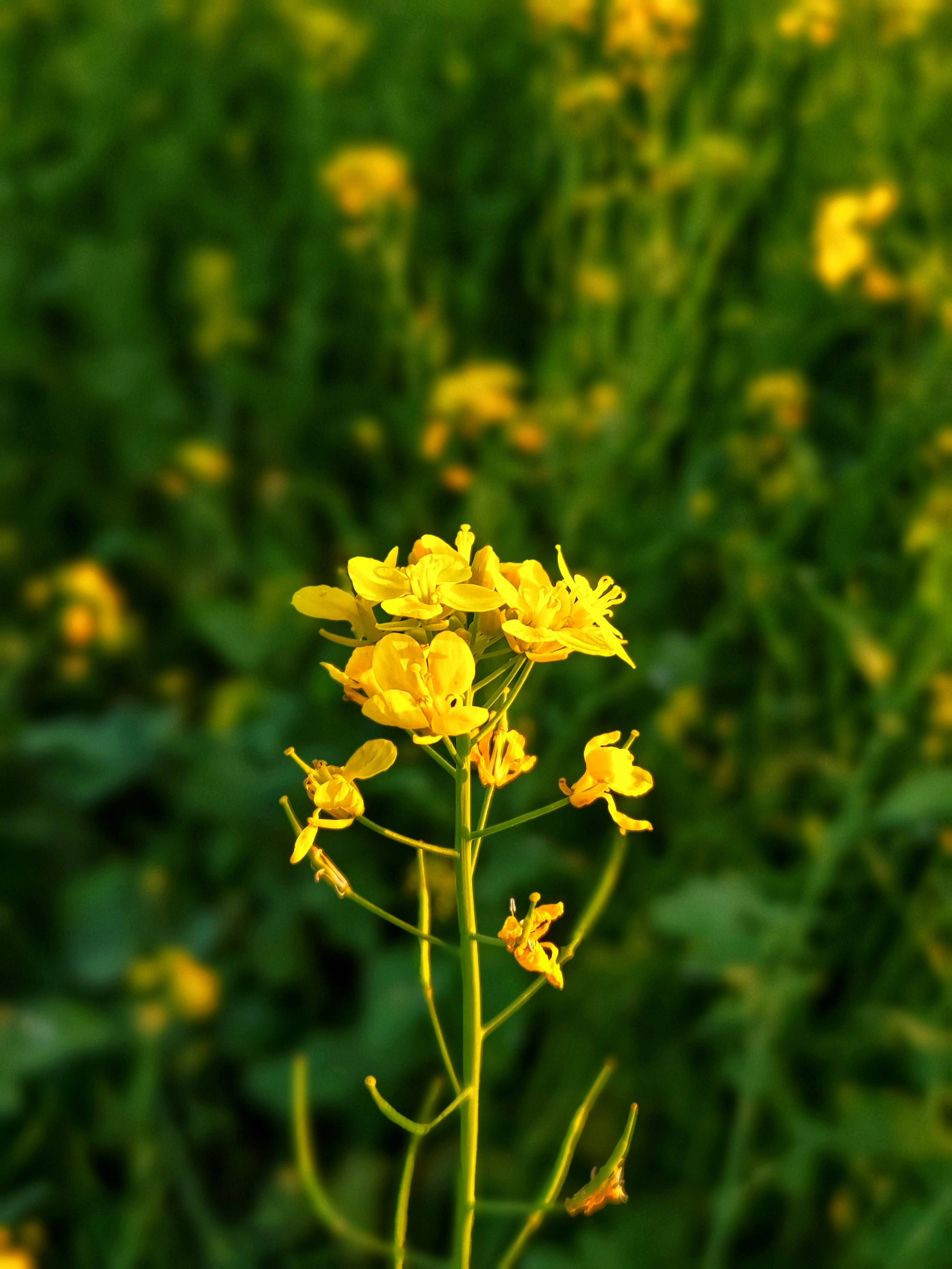 Photo by sgk353