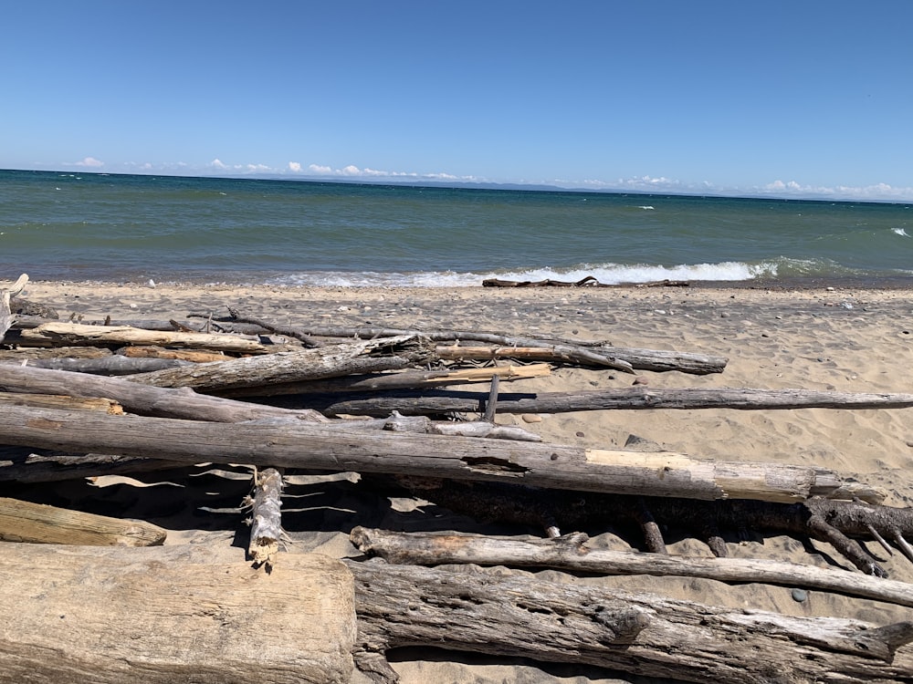 a pile of driftwood sitting on top of a sandy beach