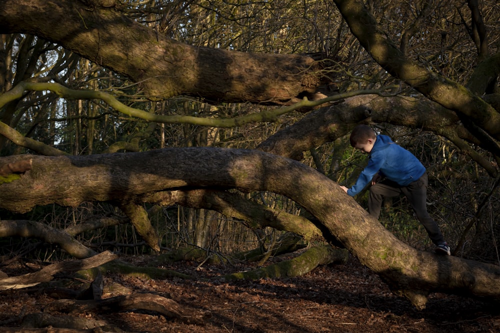 a man climbing up a tree in the woods