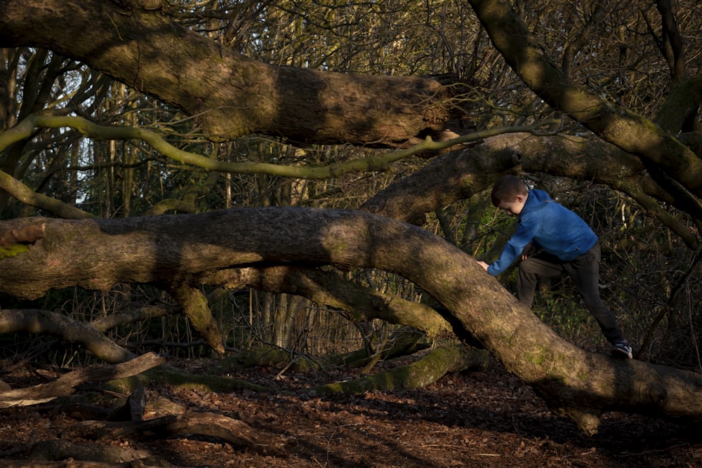 um homem subindo em uma árvore na floresta