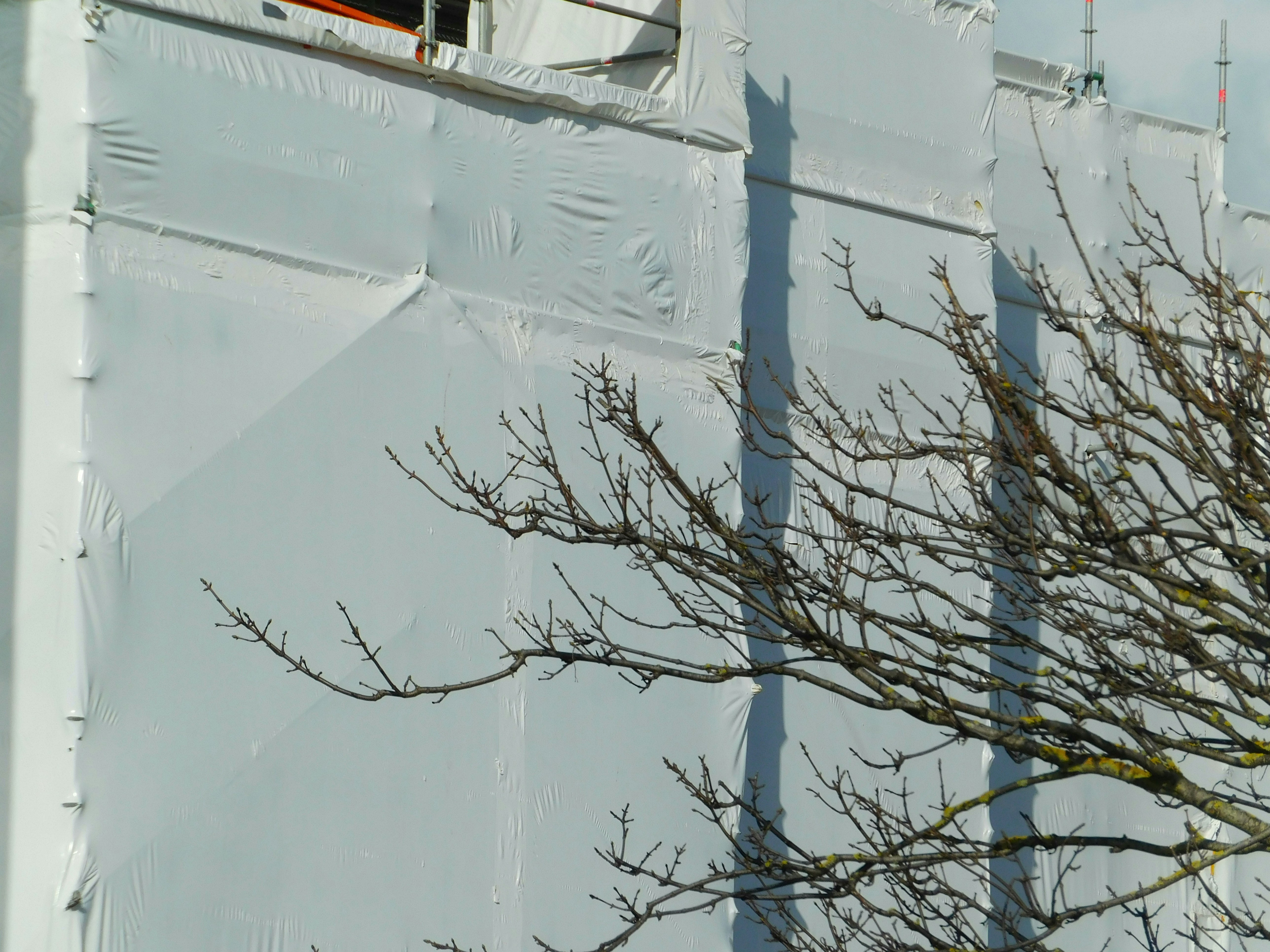 Photo by flora_and_fauna_8_9_10