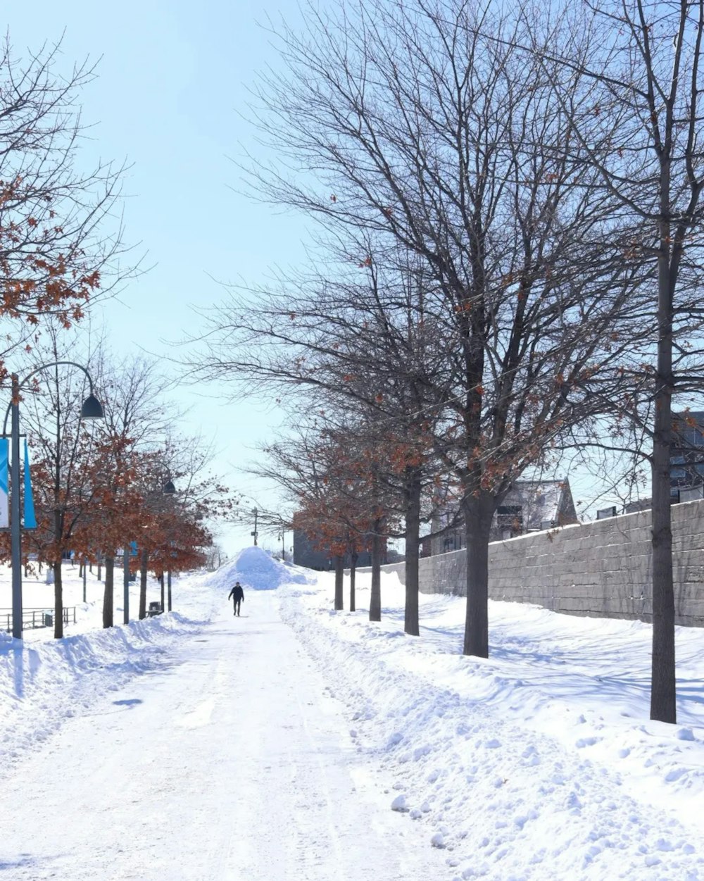 a person walking down a snow covered street