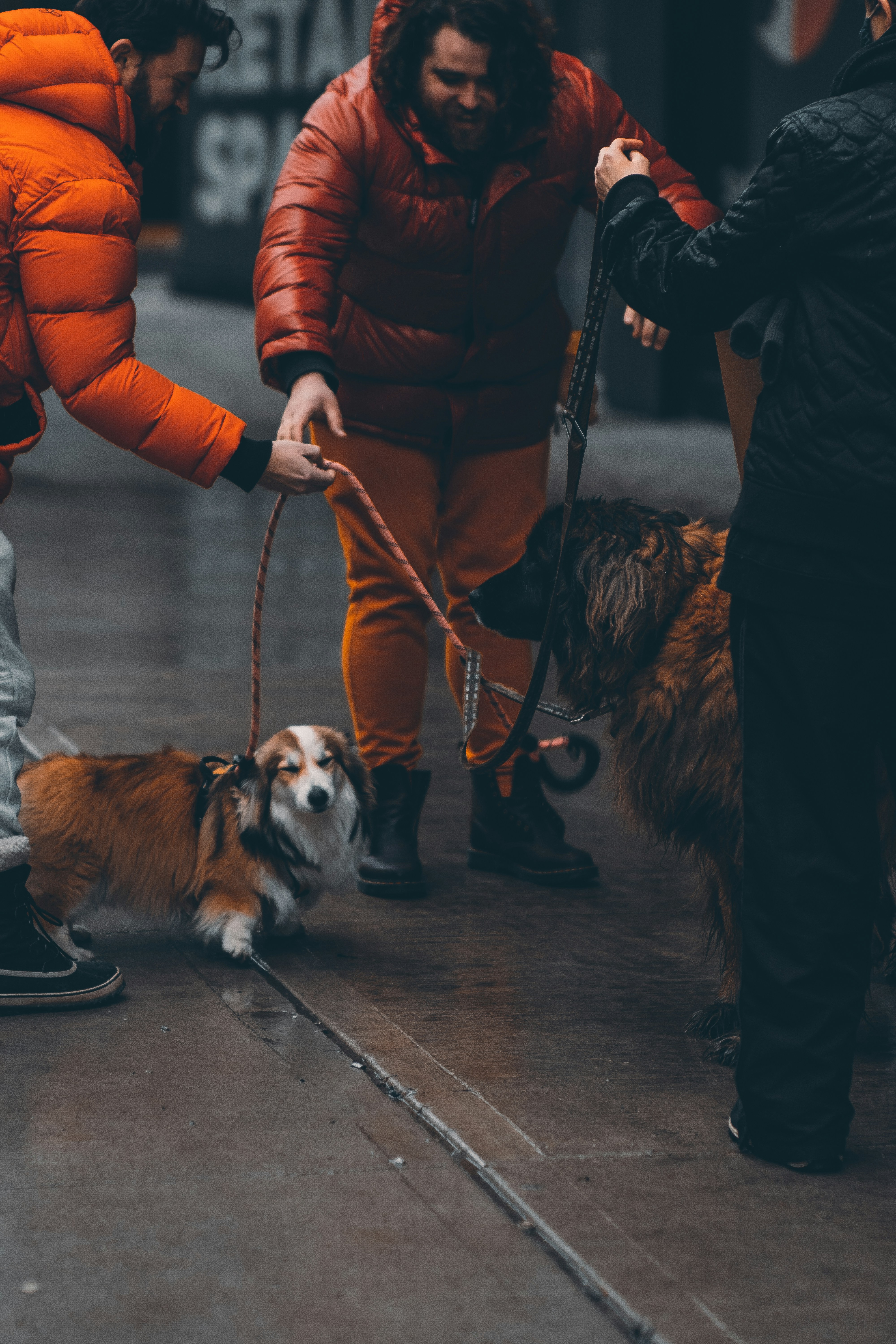 Photo by kartoffel_liu