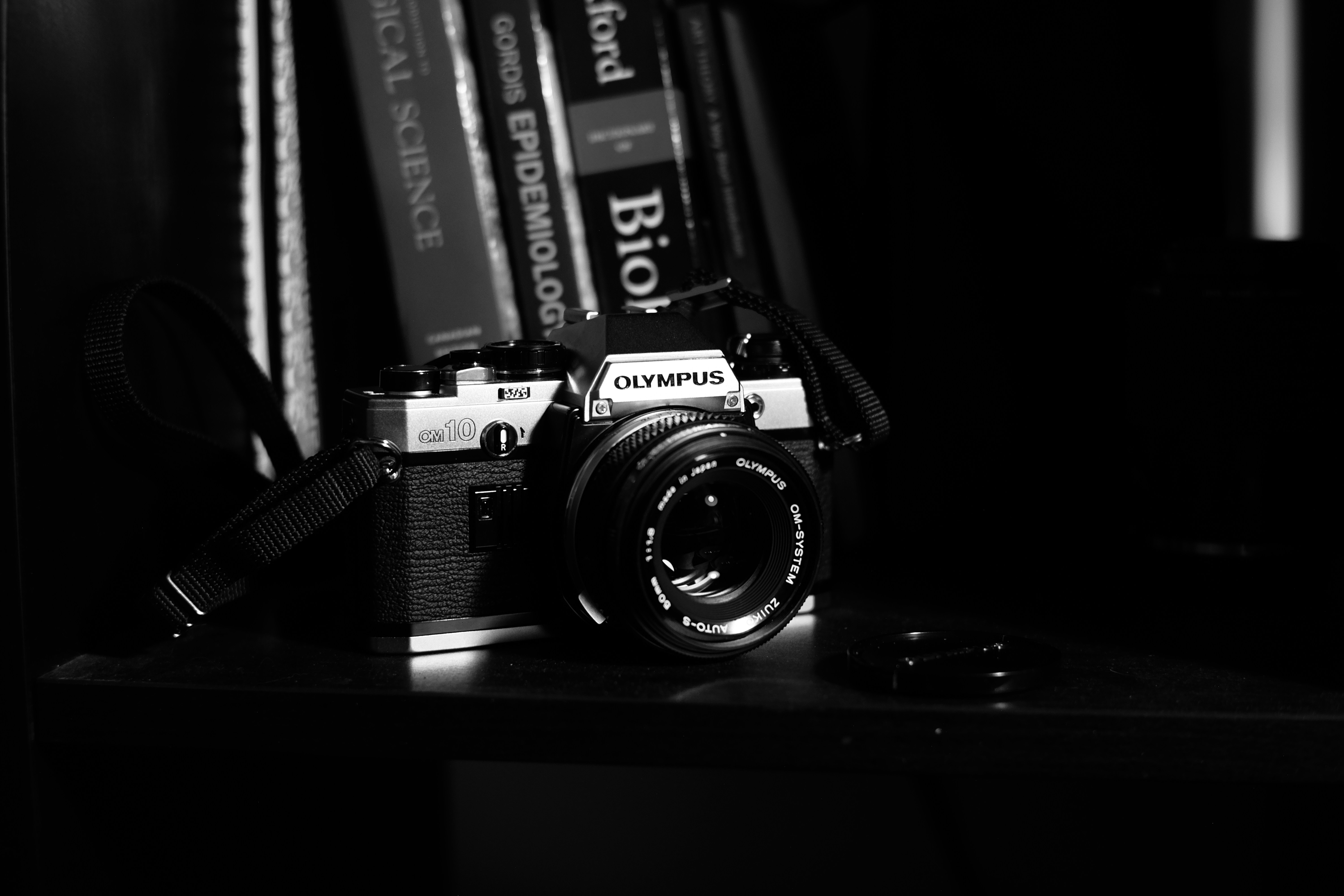 Photo by kartoffel_liu