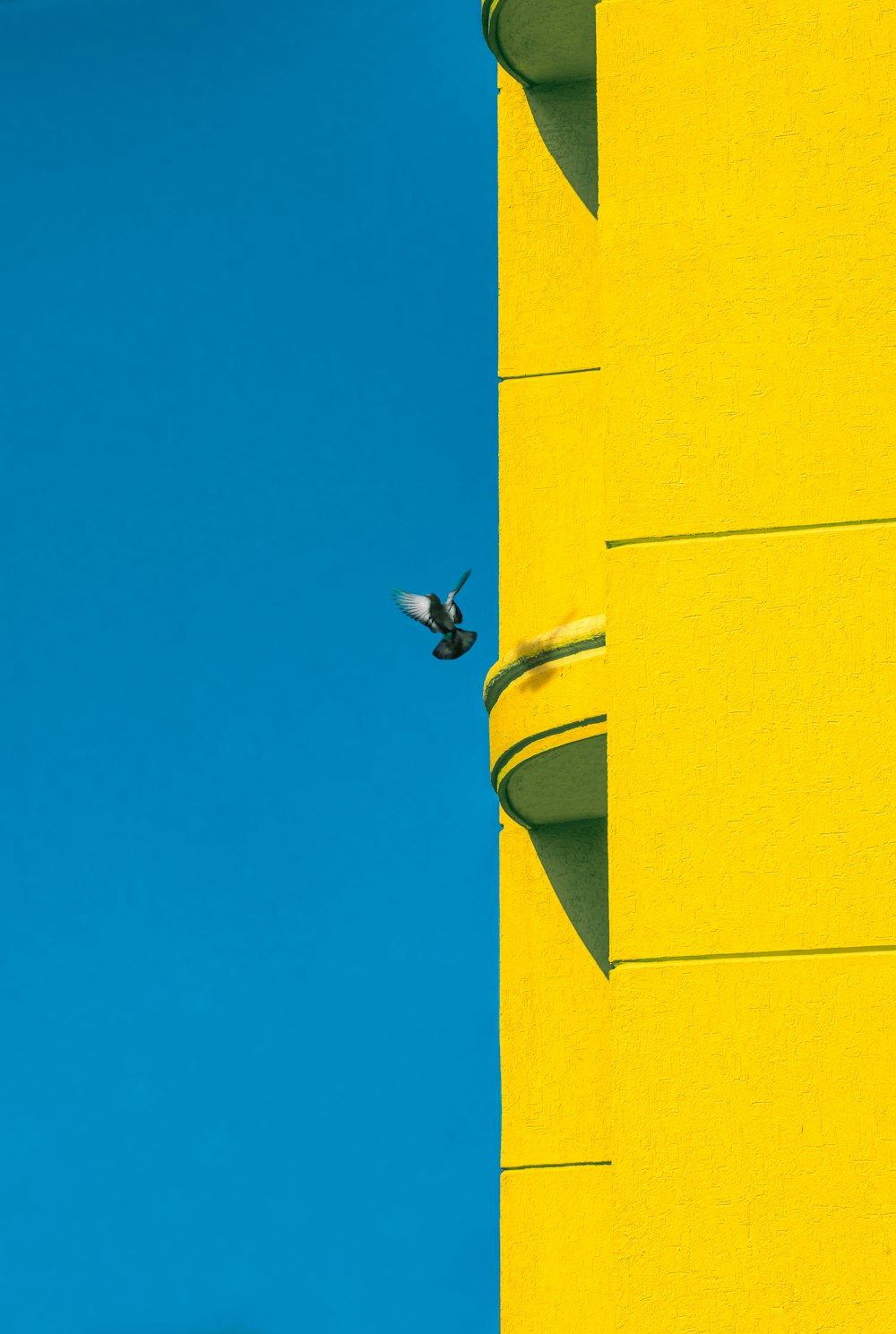 a bee flying past a yellow building with a blue sky in the background