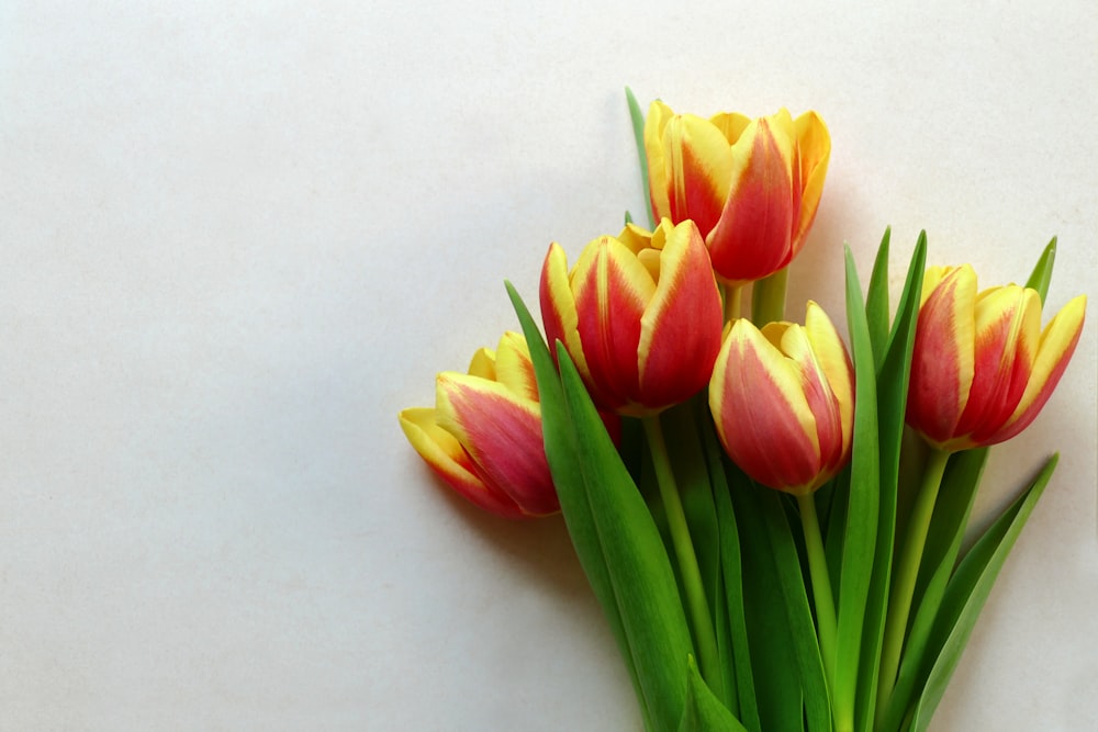 un vaso pieno di tulipani gialli e rossi
