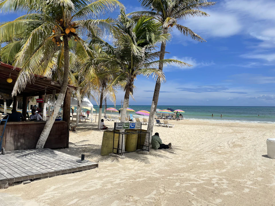 Serene beach scene with palm trees swaying gently in clear blue sky above