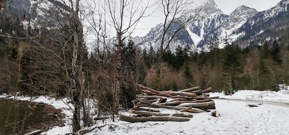 a pile of logs sitting on top of snow covered ground