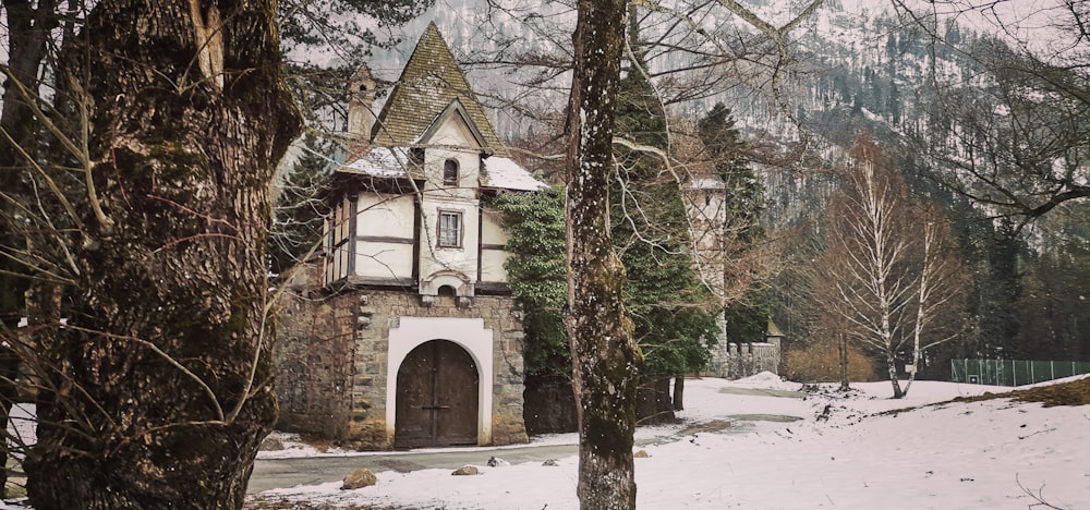 a house in the middle of a snowy forest