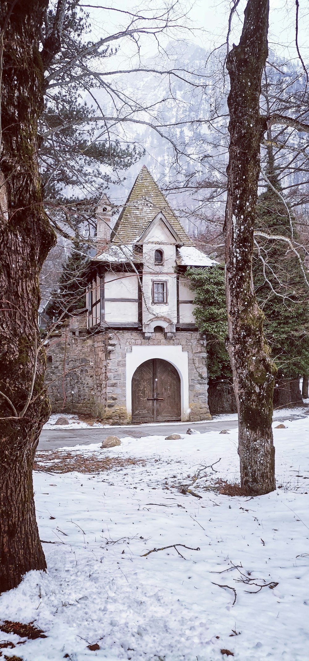 a house in the middle of a snowy forest