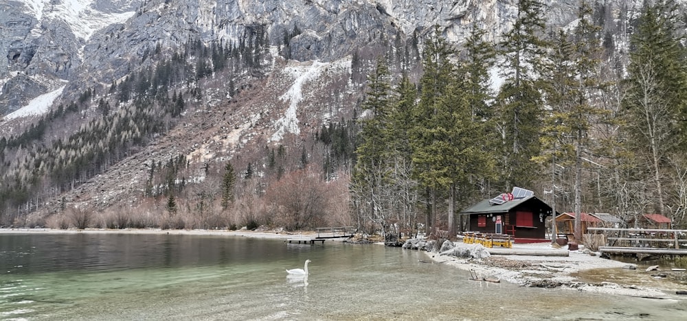 a small cabin on the shore of a mountain lake