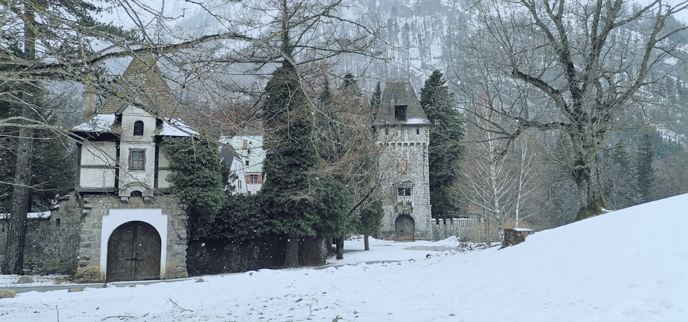 an old castle in the middle of a snowy forest