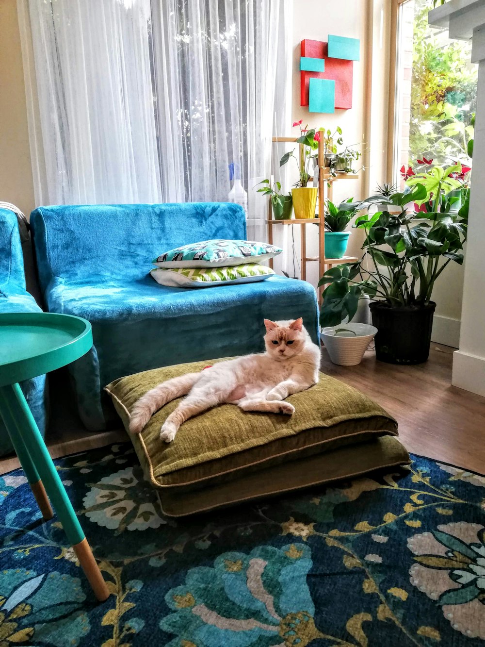 a cat laying on a cushion in a living room