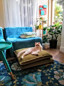 A cozy living room features a relaxed cat lying on a stack of green cushions. The room is decorated with a blue sofa, colorful floral rug, vibrant artwork on the wall, and several lush indoor plants. Natural light filters through sheer curtains, adding a serene ambiance.