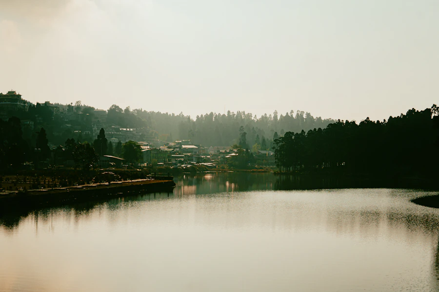 Misty forest lake