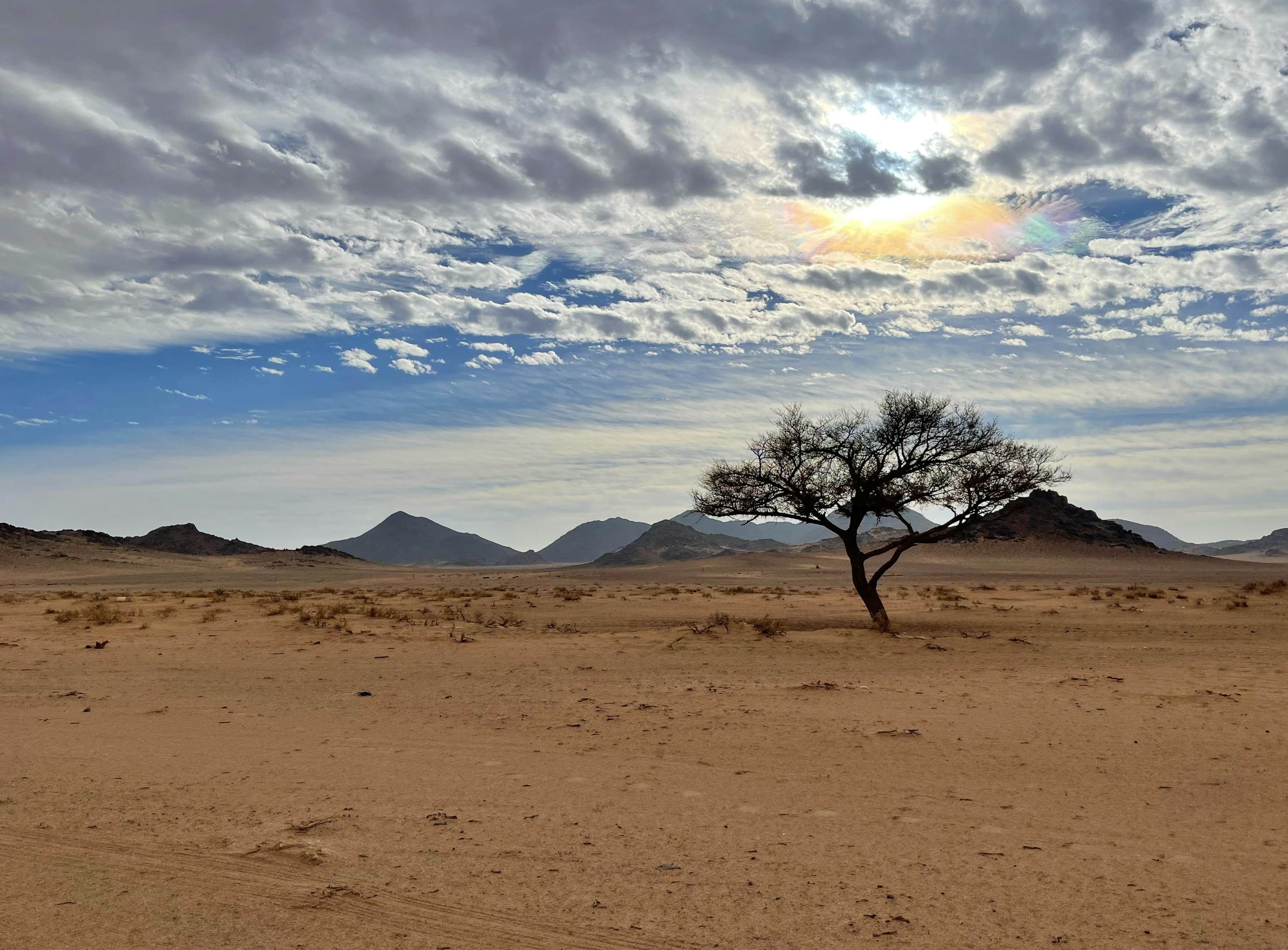Namibian Desert Survival