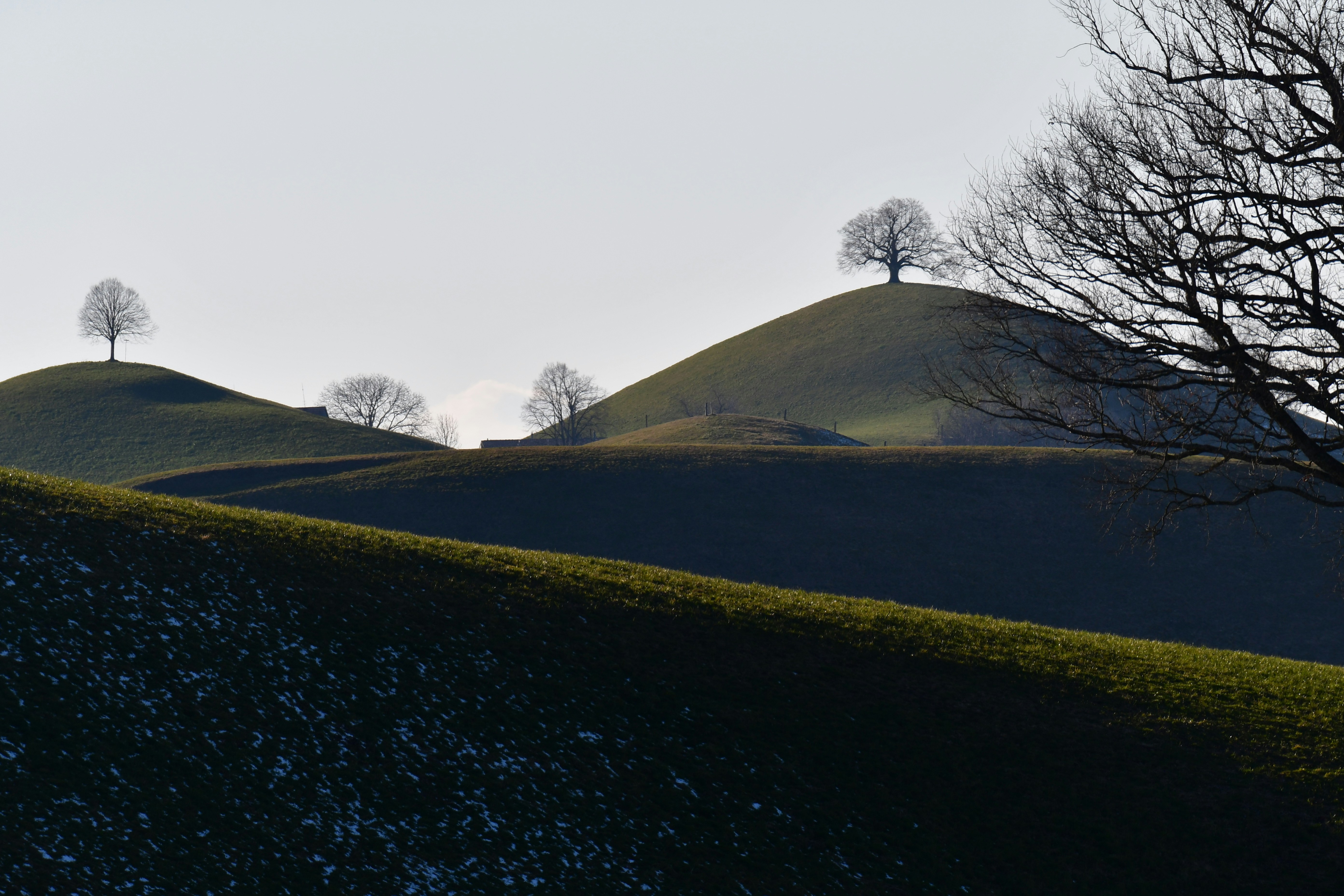 Photo by pedrino5_official