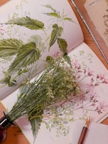 A beautifully illustrated botanical book is open to pages displaying detailed drawings of various plants, including nettles and a crown flower. In front of the book, there is a small cluster of real flowers resting on the pages. A quill or fountain pen with a dark wooden handle and a brass nib is placed on a white napkin nearby.