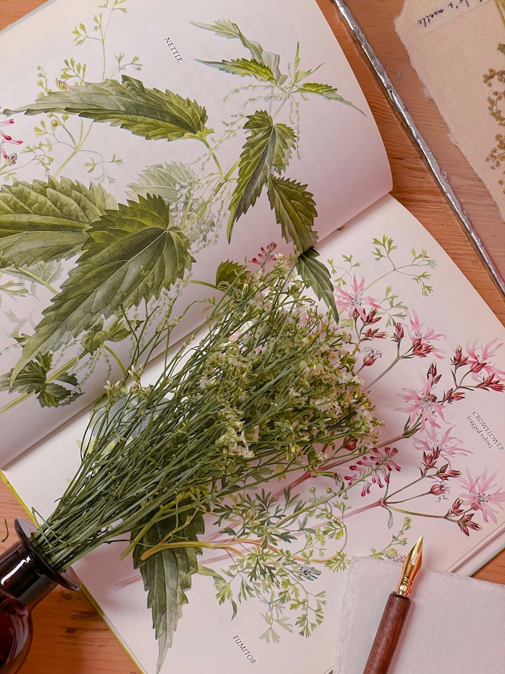 a book with a bunch of flowers on top of it