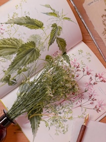 A beautifully illustrated botanical book is open to pages displaying detailed drawings of various plants, including nettles and a crown flower. In front of the book, there is a small cluster of real flowers resting on the pages. A quill or fountain pen with a dark wooden handle and a brass nib is placed on a white napkin nearby.