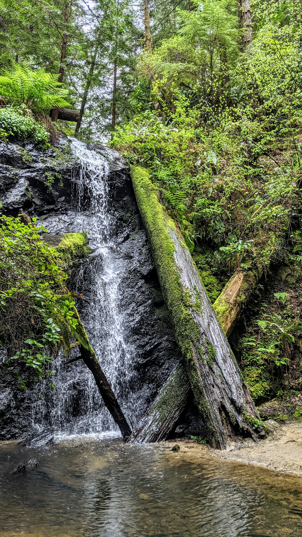 a small waterfall in the middle of a forest