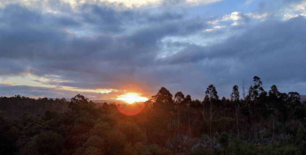 the sun is setting over the trees in the forest