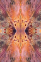 an abstract image of an orange and pink flower