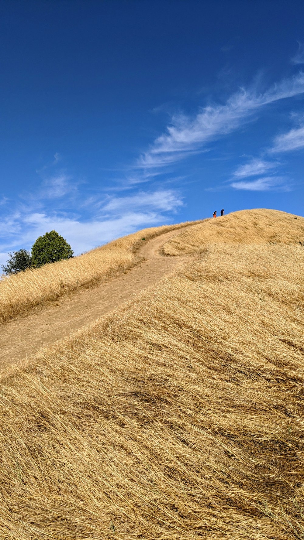 a couple of people standing on top of a dry grass hill