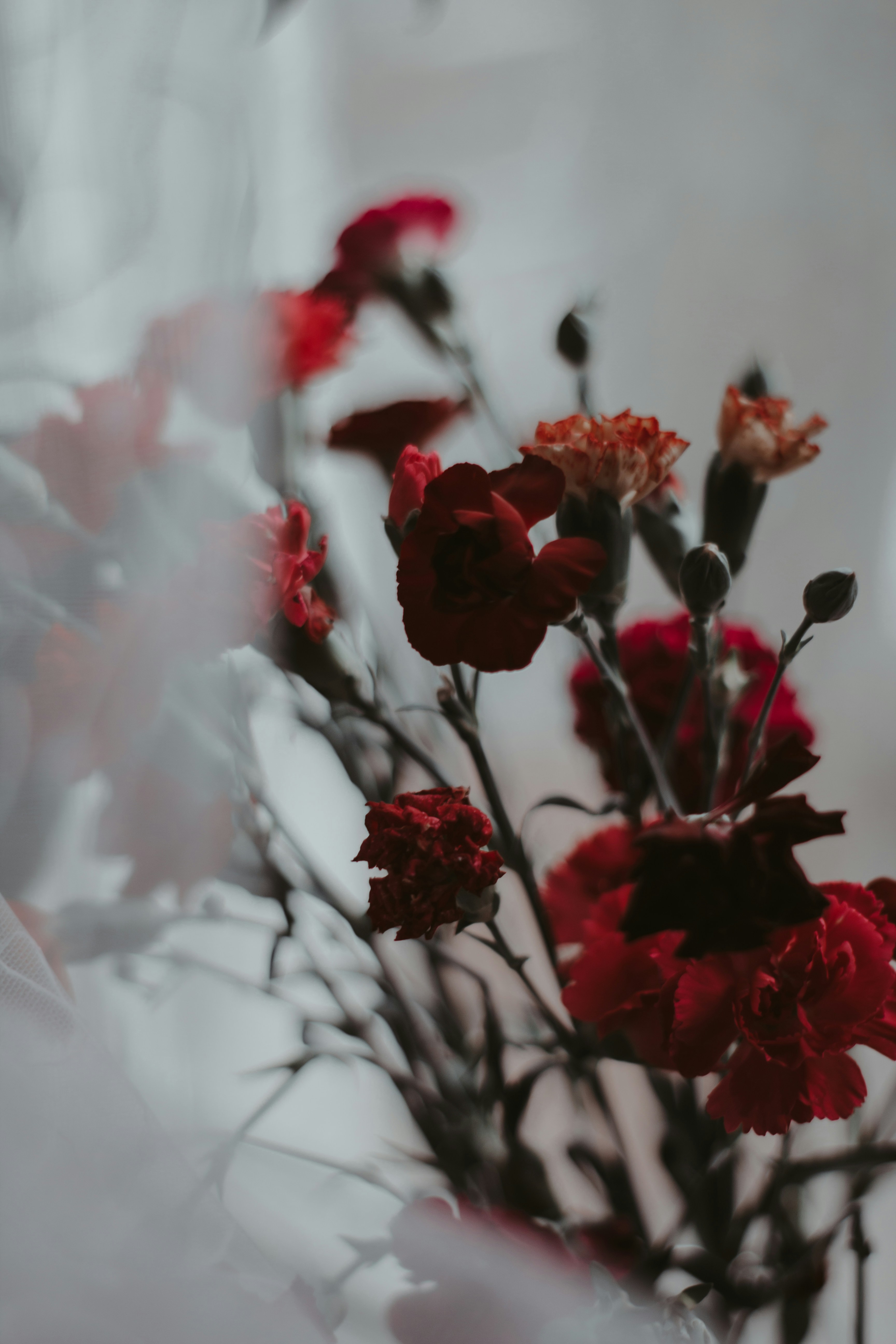 Photo by svitlana_rusak